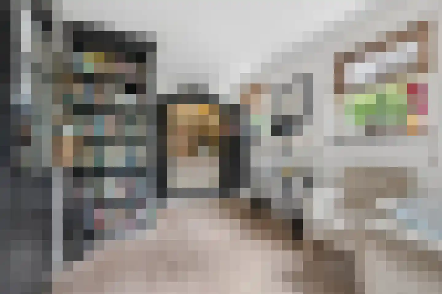 Zonneoordlaan 47 R 51 Ede thumbnail 16