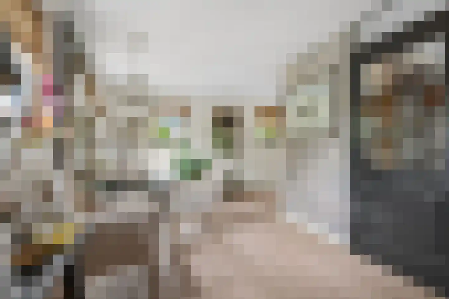 Zonneoordlaan 47 R 51 Ede thumbnail 17