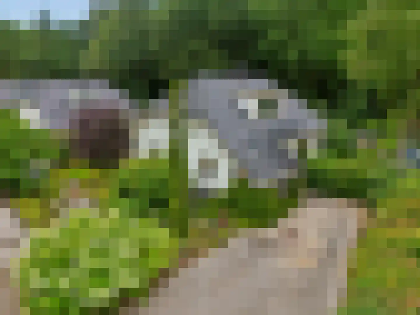 Zonneoordlaan 47 R 51 Ede foto 2