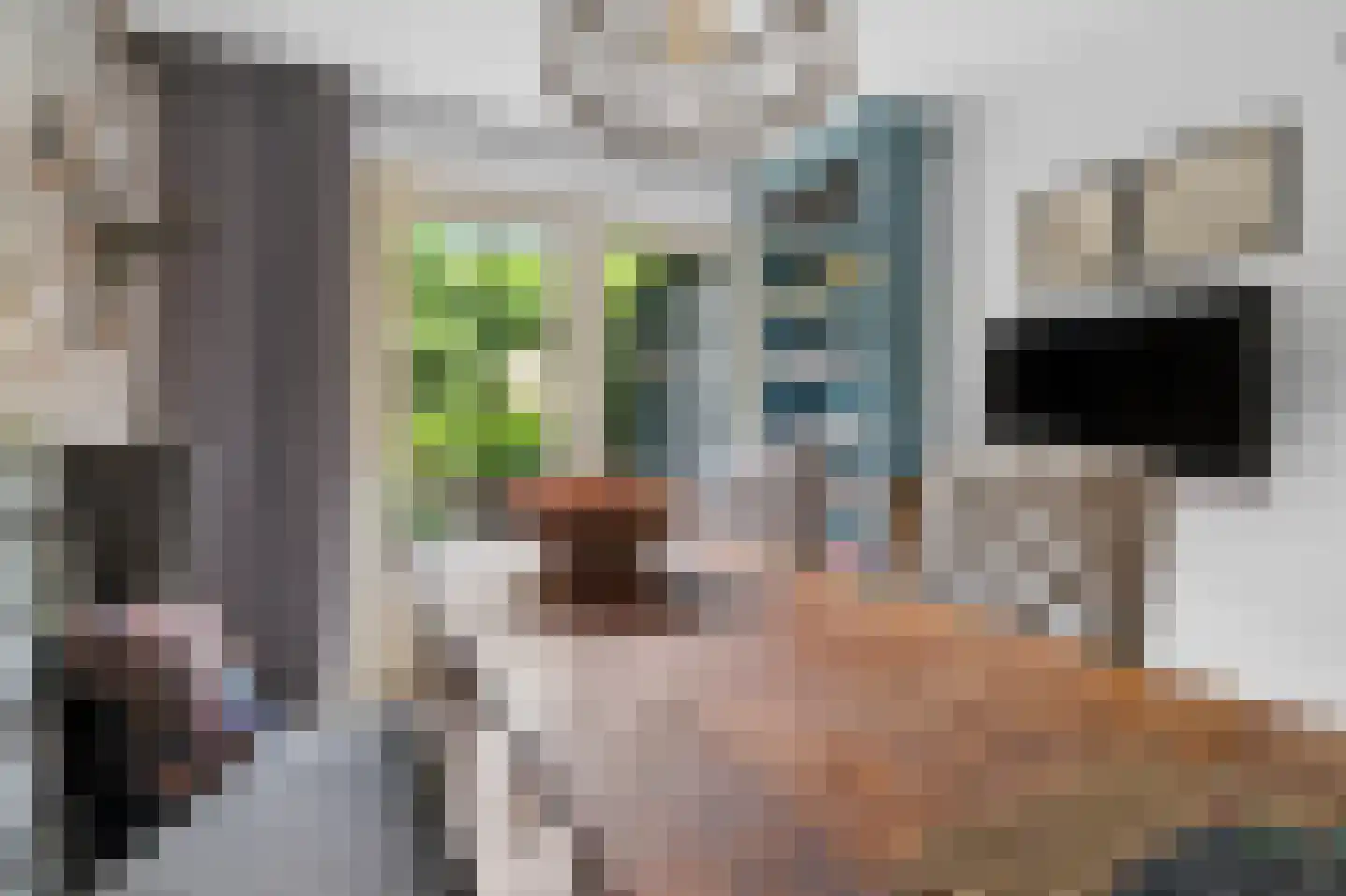 Zonneoordlaan 47 R 51 Ede thumbnail 23