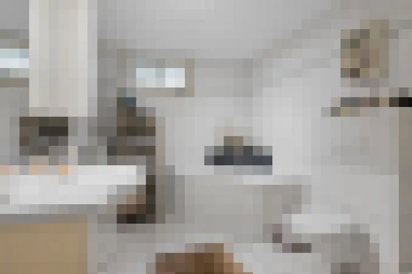 Zonneoordlaan 47 R 51 Ede thumbnail 48