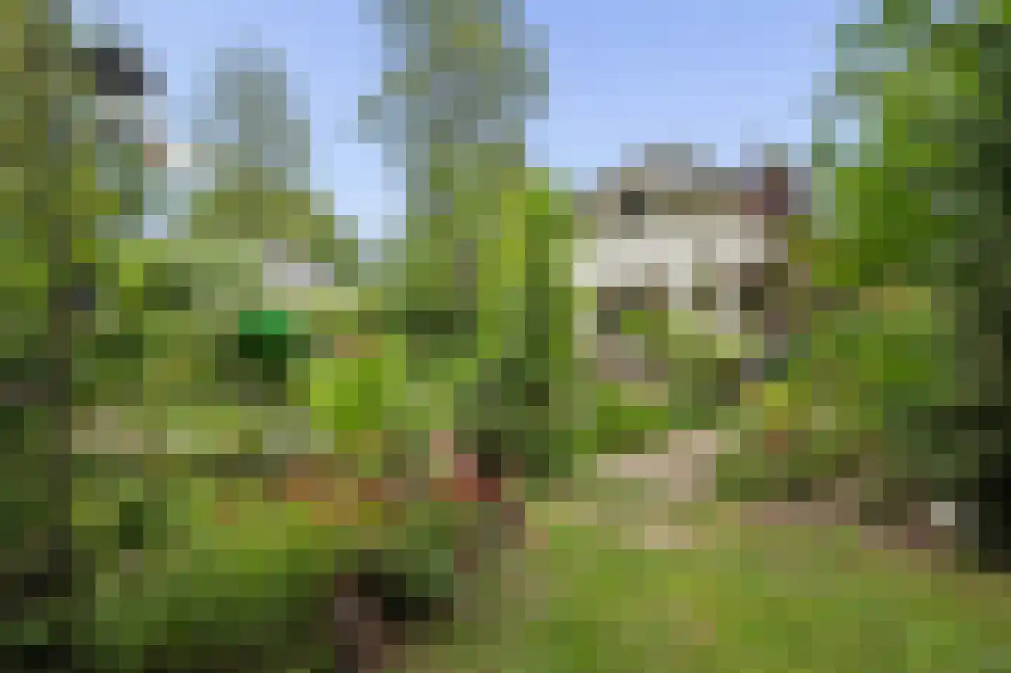 Zonneoordlaan 47 R 51 Ede thumbnail 7