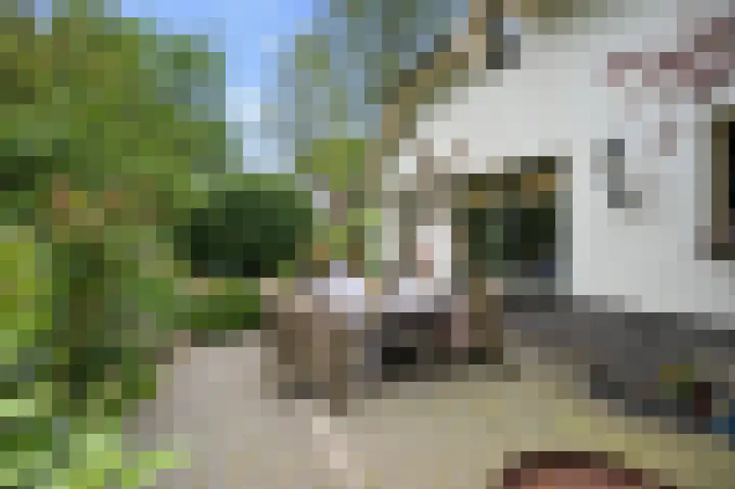 Zonneoordlaan 47 R 51 Ede thumbnail 8