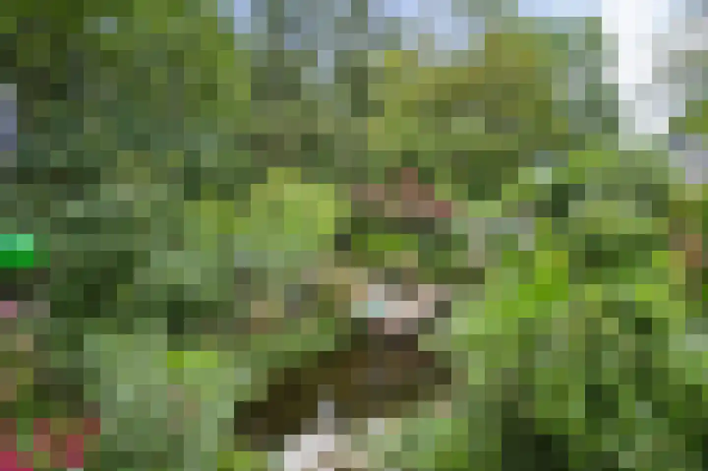 Zonneoordlaan 47 R 51 Ede thumbnail 9