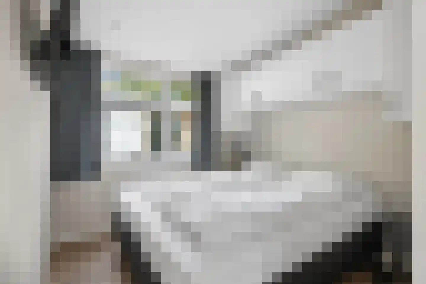 Zonneoordlaan 47 R 64 Ede thumbnail 16