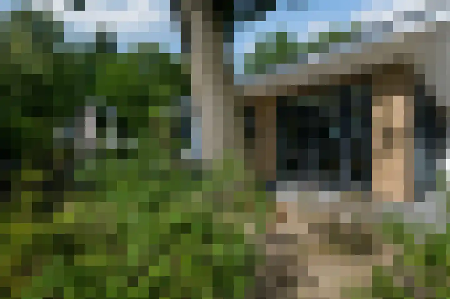 Zonneoordlaan 47 R 64 Ede thumbnail 24