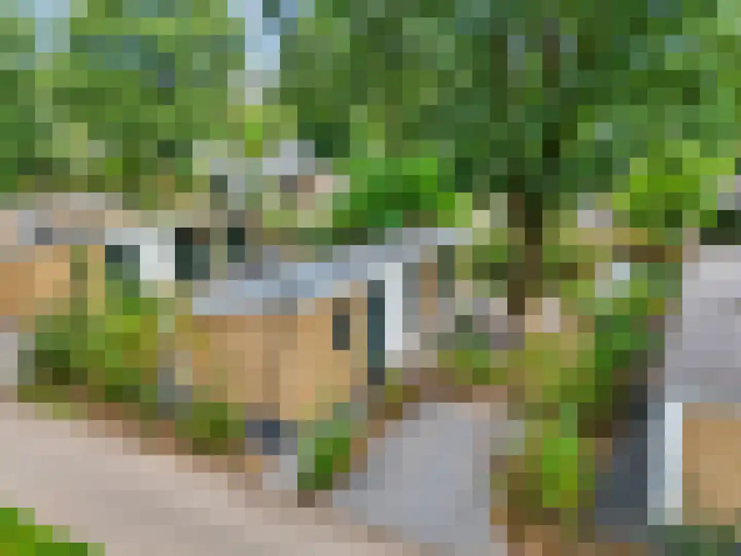 Zonneoordlaan 47 R 64 Ede thumbnail 28