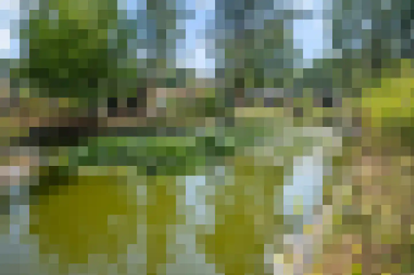 Zonneoordlaan 47 R 64 Ede thumbnail 29