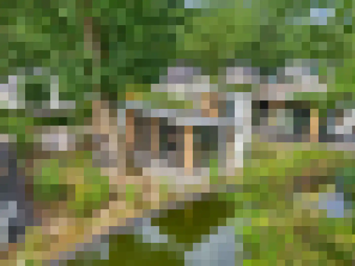 Zonneoordlaan 47 R 64 Ede thumbnail 30