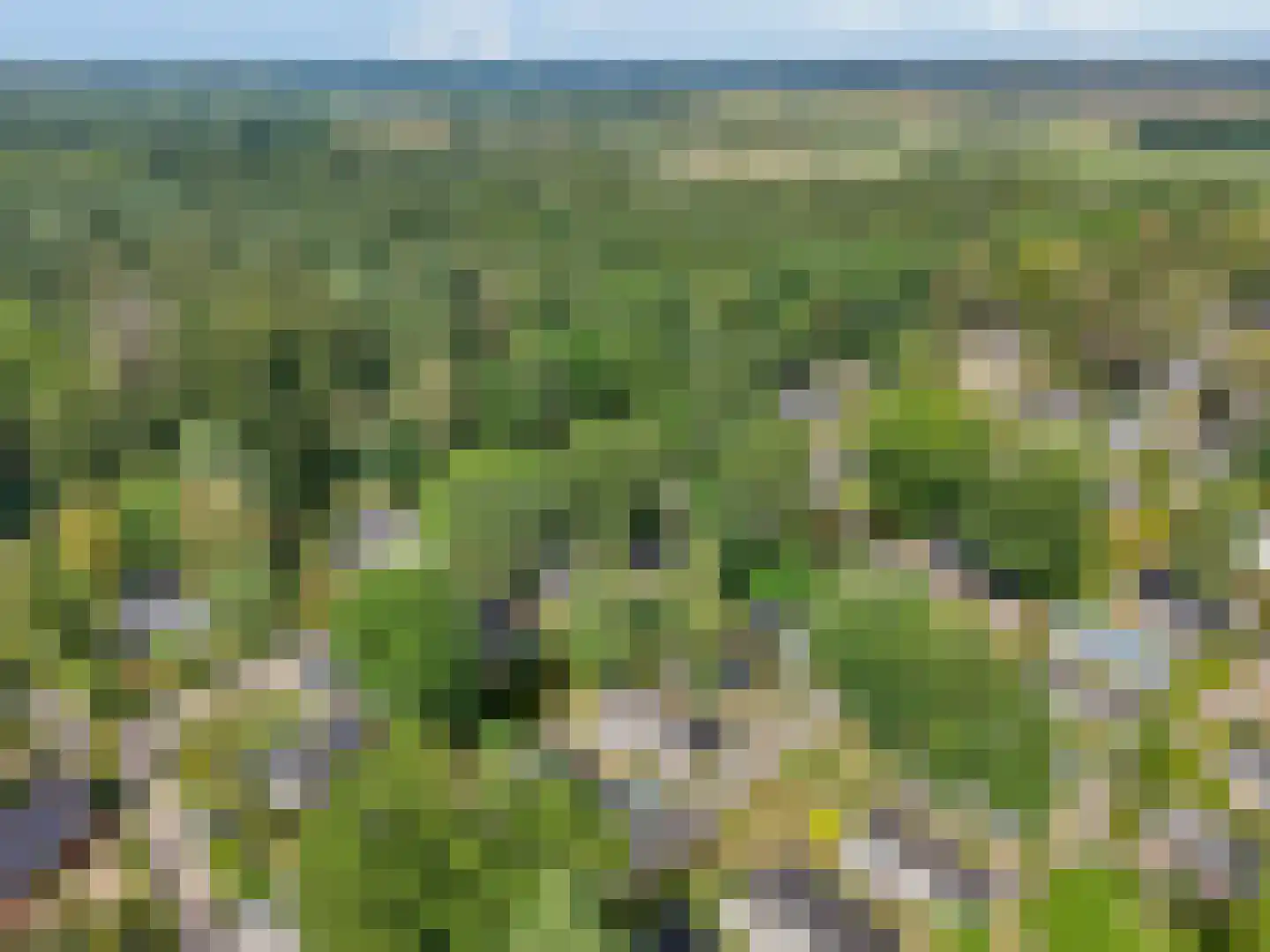 Zonneoordlaan 47 R 64 Ede thumbnail 31