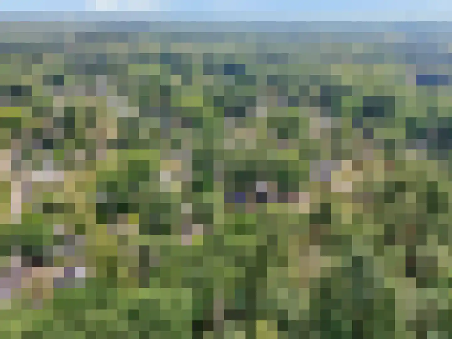 Zonneoordlaan 47 R 64 Ede thumbnail 32