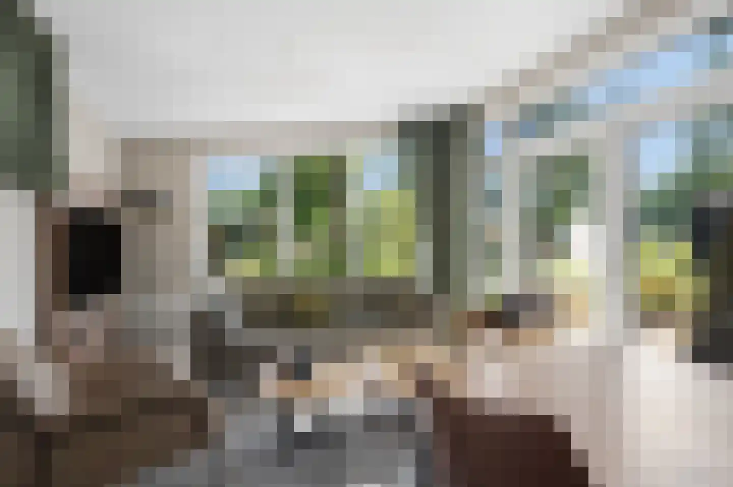 Zonneoordlaan 47 R 64 Ede thumbnail 5