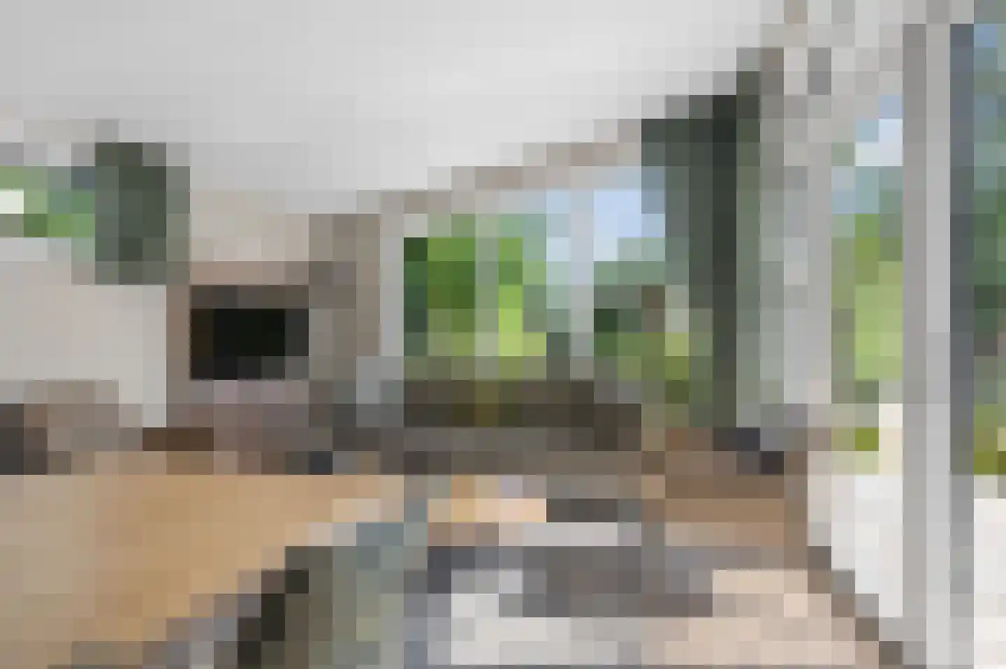 Zonneoordlaan 47 R 64 Ede thumbnail 6