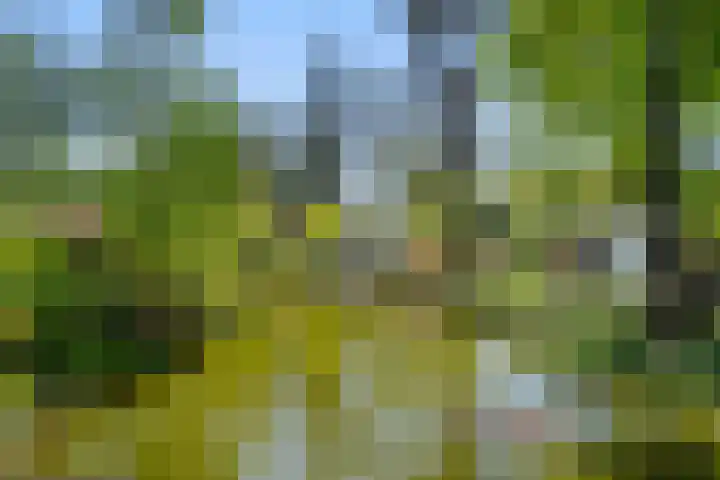 Zonneoordlaan 47 R 68 Ede thumbnail 22