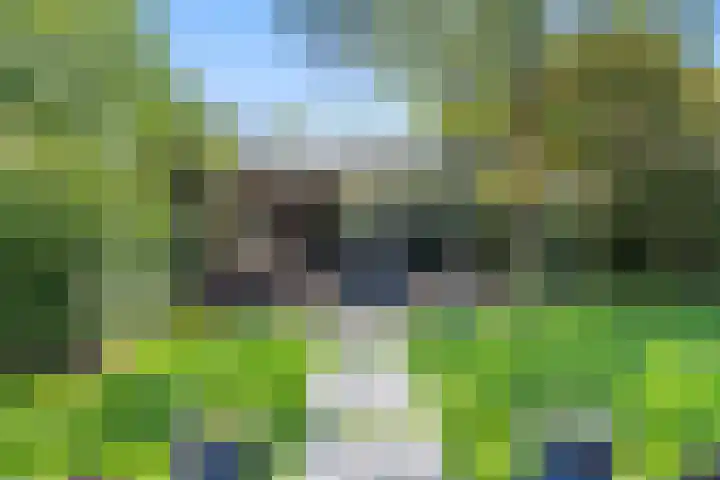 Zonneoordlaan 47 R 68 Ede thumbnail 24