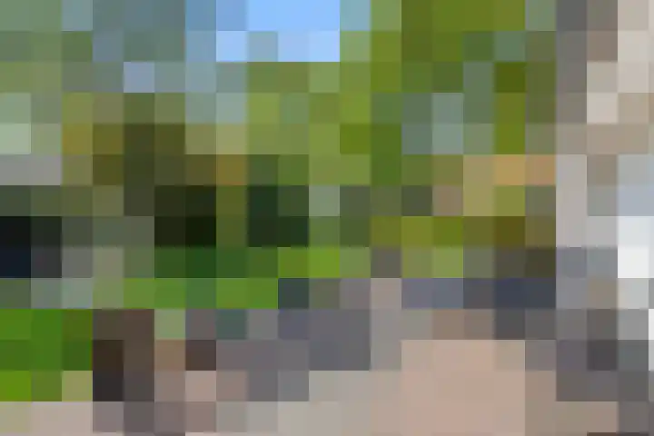 Zonneoordlaan 47 R 68 Ede thumbnail 25