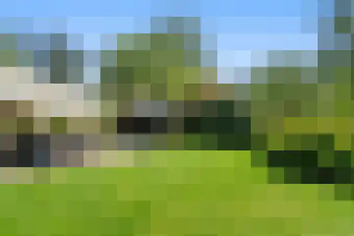 Zonneoordlaan 47 R 68 Ede thumbnail 26