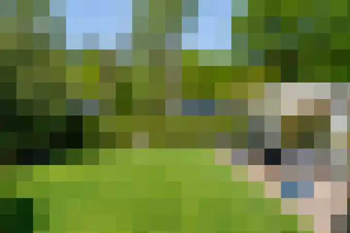 Zonneoordlaan 47 R 68 Ede thumbnail 27