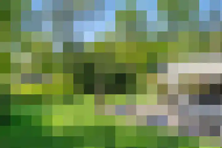 Zonneoordlaan 47 R 68 Ede thumbnail 28