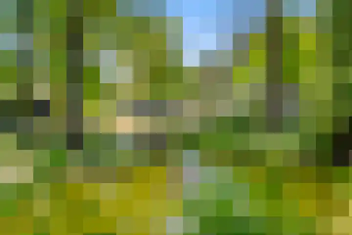 Zonneoordlaan 47 R 68 Ede thumbnail 29