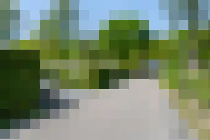 Zonneoordlaan 47 R 68 Ede thumbnail 30
