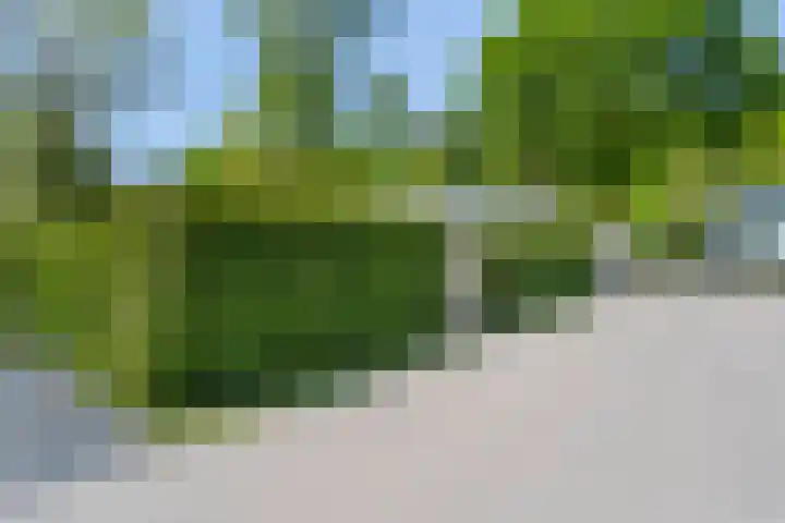 Zonneoordlaan 47 R 68 Ede thumbnail 32