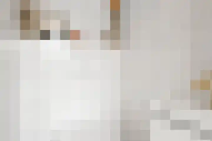 Zonneoordlaan 47 R 68 Ede thumbnail 7