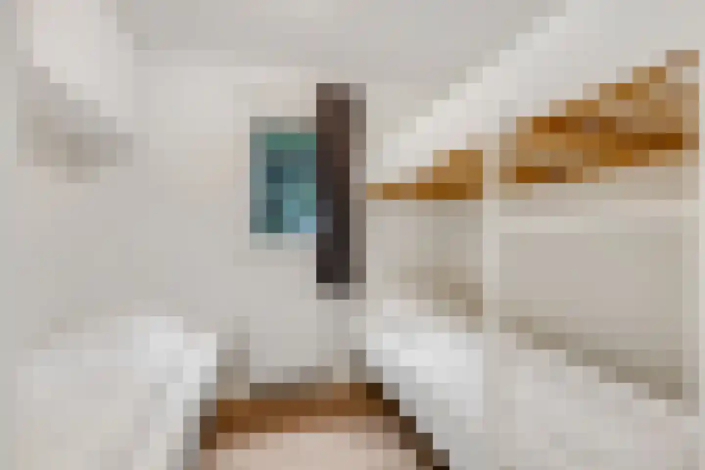 Zonneoordlaan 47 R 73 Ede thumbnail 16