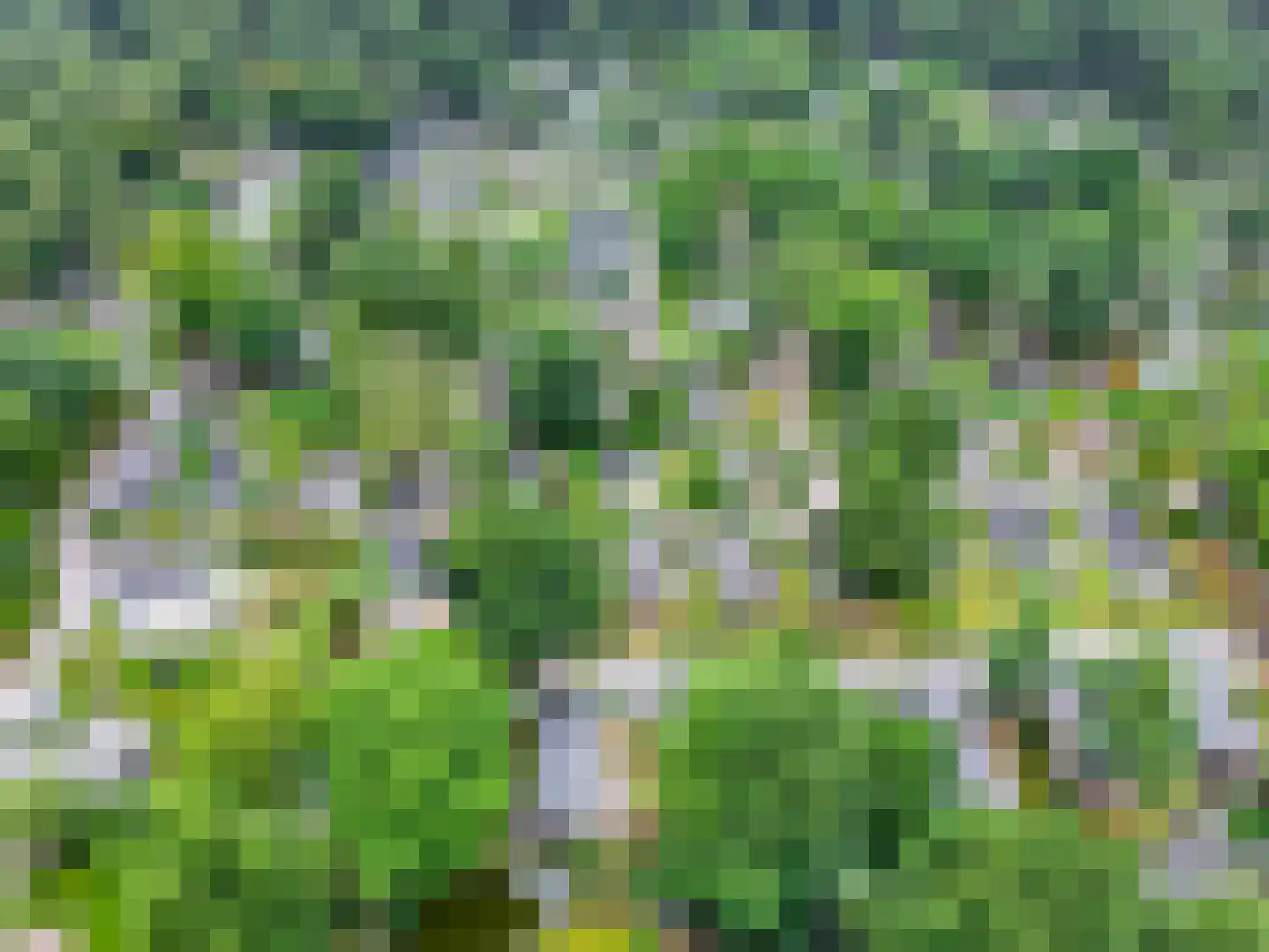 Zonneoordlaan 47 R 73 Ede thumbnail 21