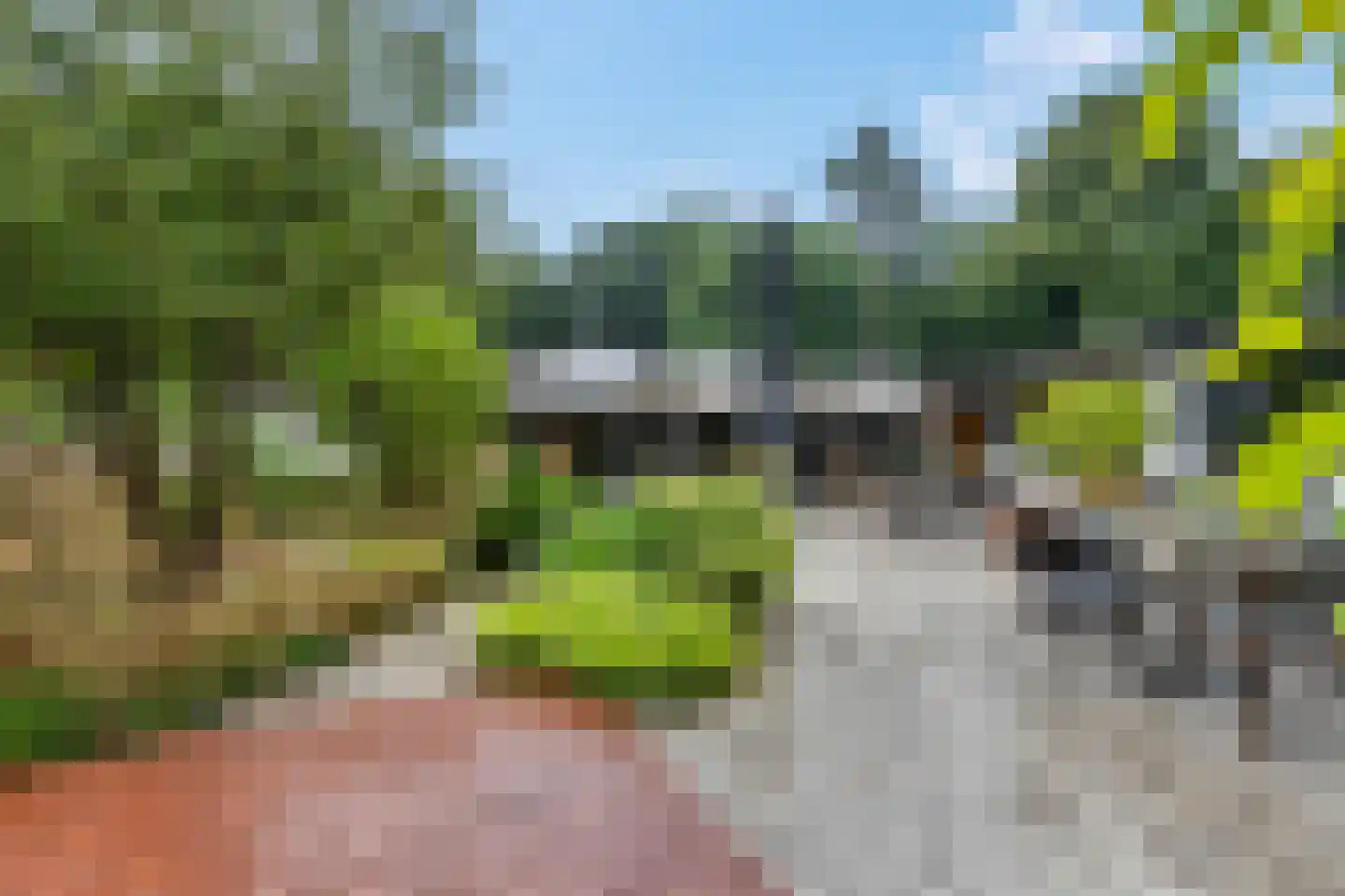 Zonneoordlaan 47 R 73 Ede thumbnail 29