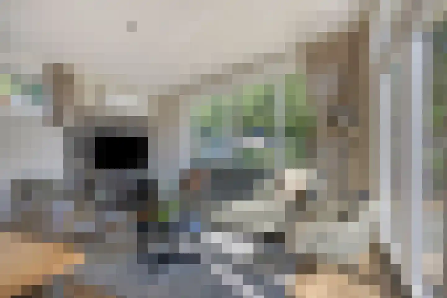 Zonneoordlaan 47 R 73A Ede thumbnail 14