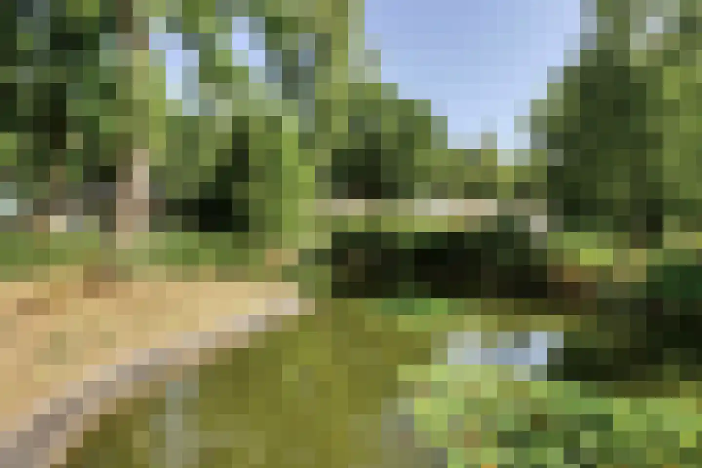 Zonneoordlaan 47 R 73A Ede thumbnail 7