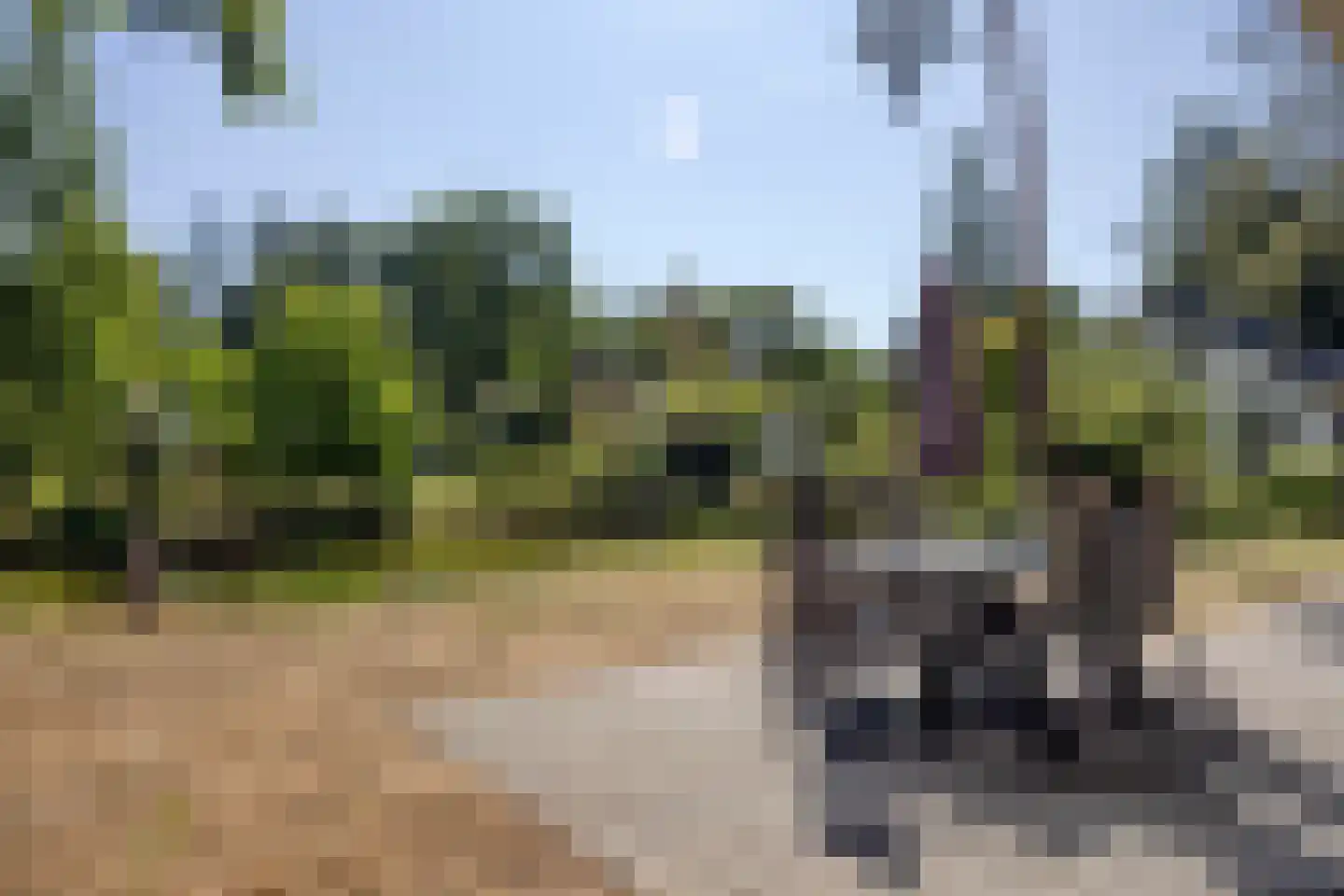 Zonneoordlaan 47 R 73A Ede thumbnail 8