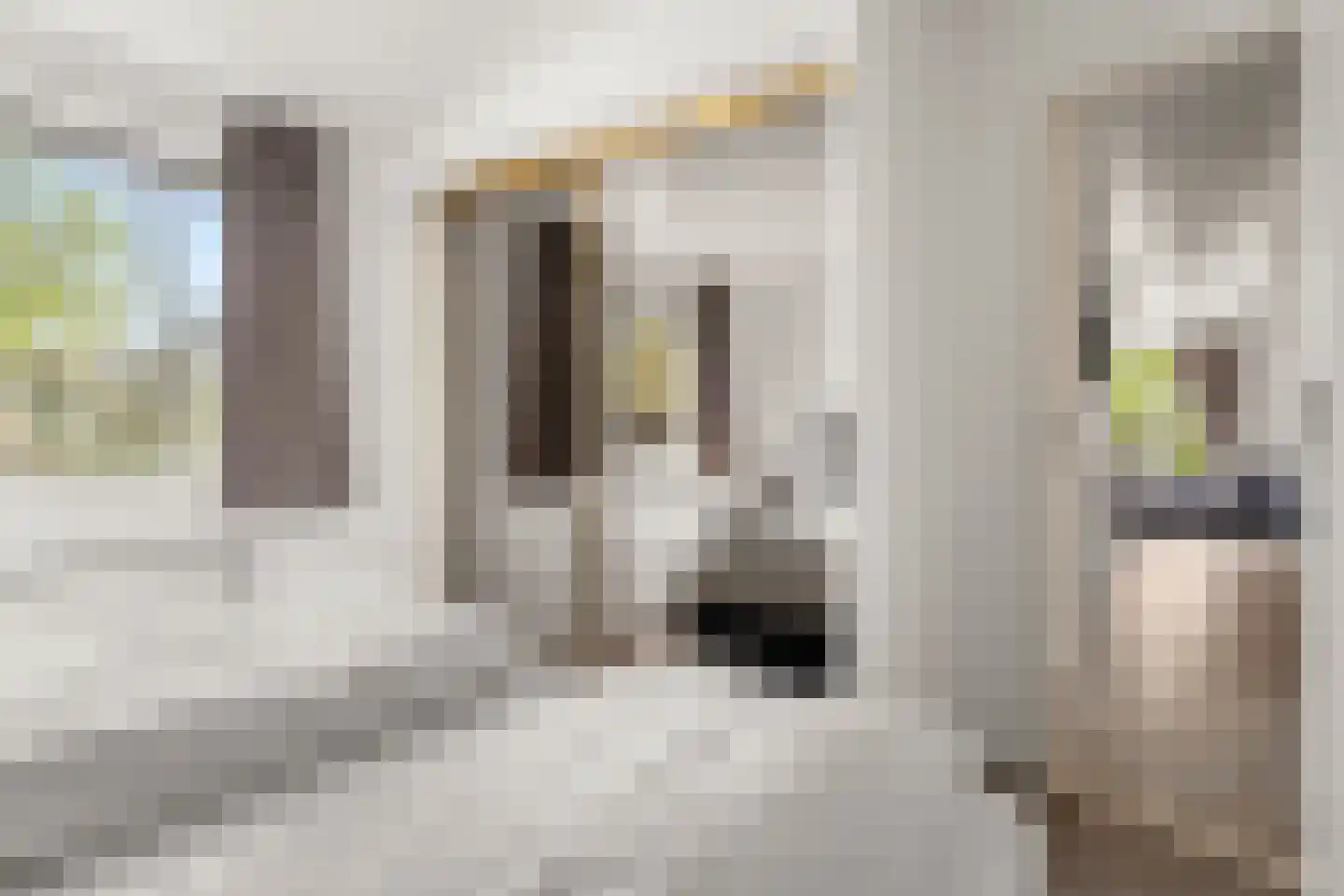 Zonneoordlaan 47 R 89 Ede thumbnail 20