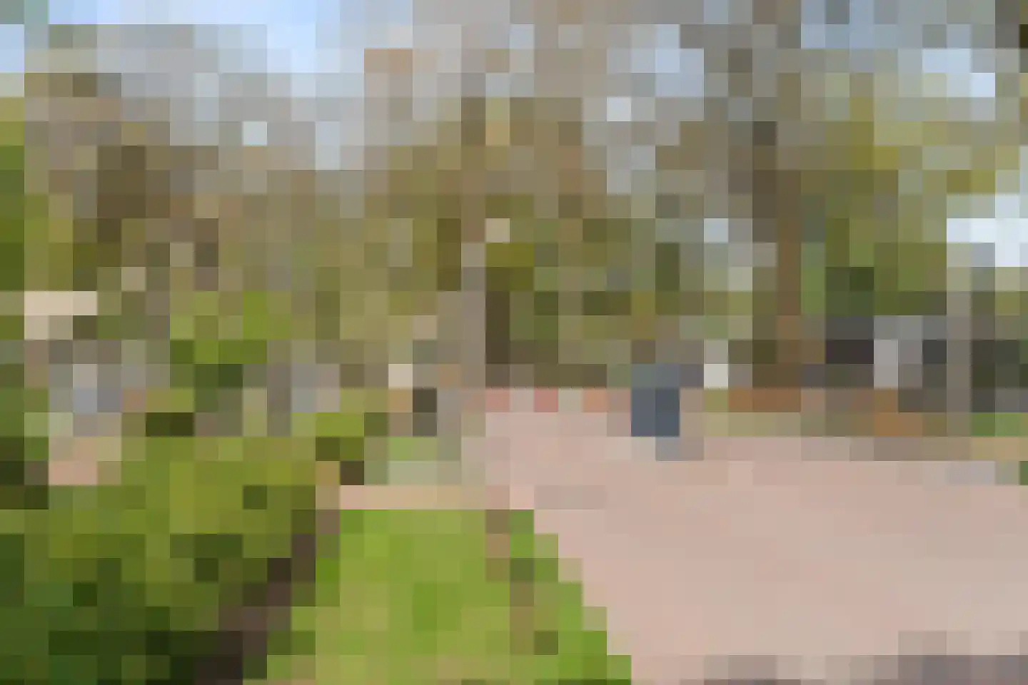 Zonneoordlaan 47 R 89 Ede thumbnail 27