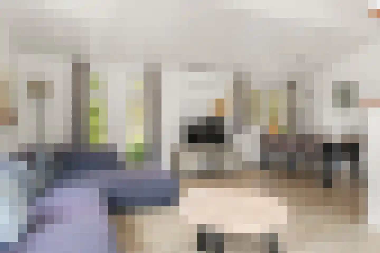 Zonneoordlaan 47 R 89 Ede foto 3