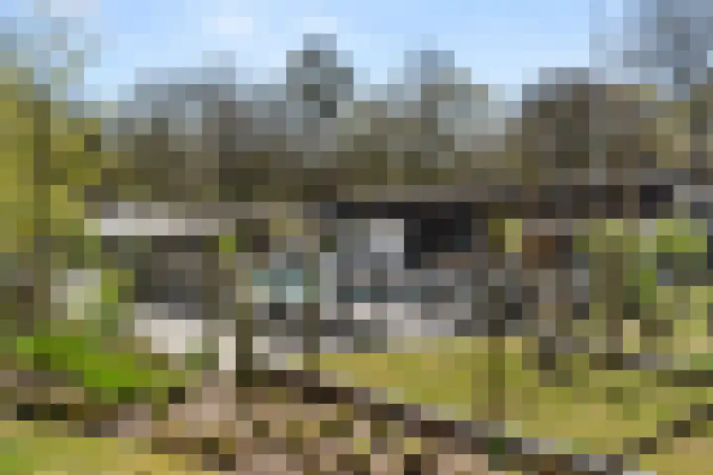 Zonneoordlaan 47 R 89 Ede thumbnail 30