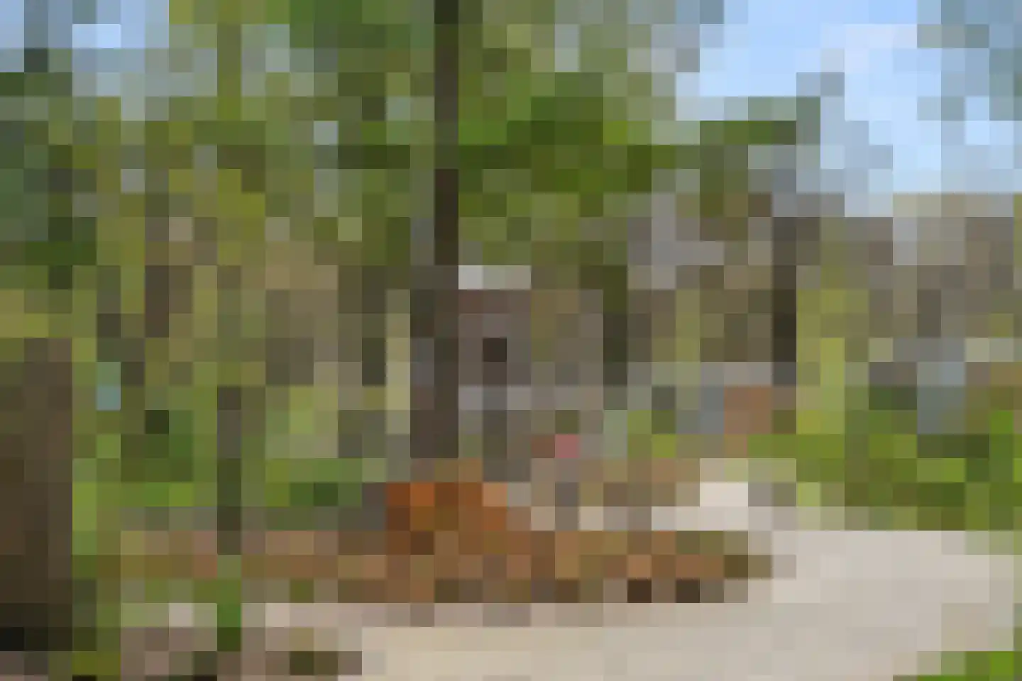 Zonneoordlaan 47 R 89 Ede thumbnail 31