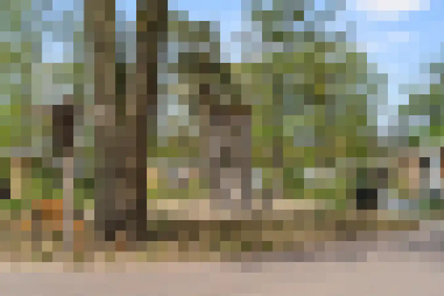 Zonneoordlaan 47 R 89 Ede thumbnail 32