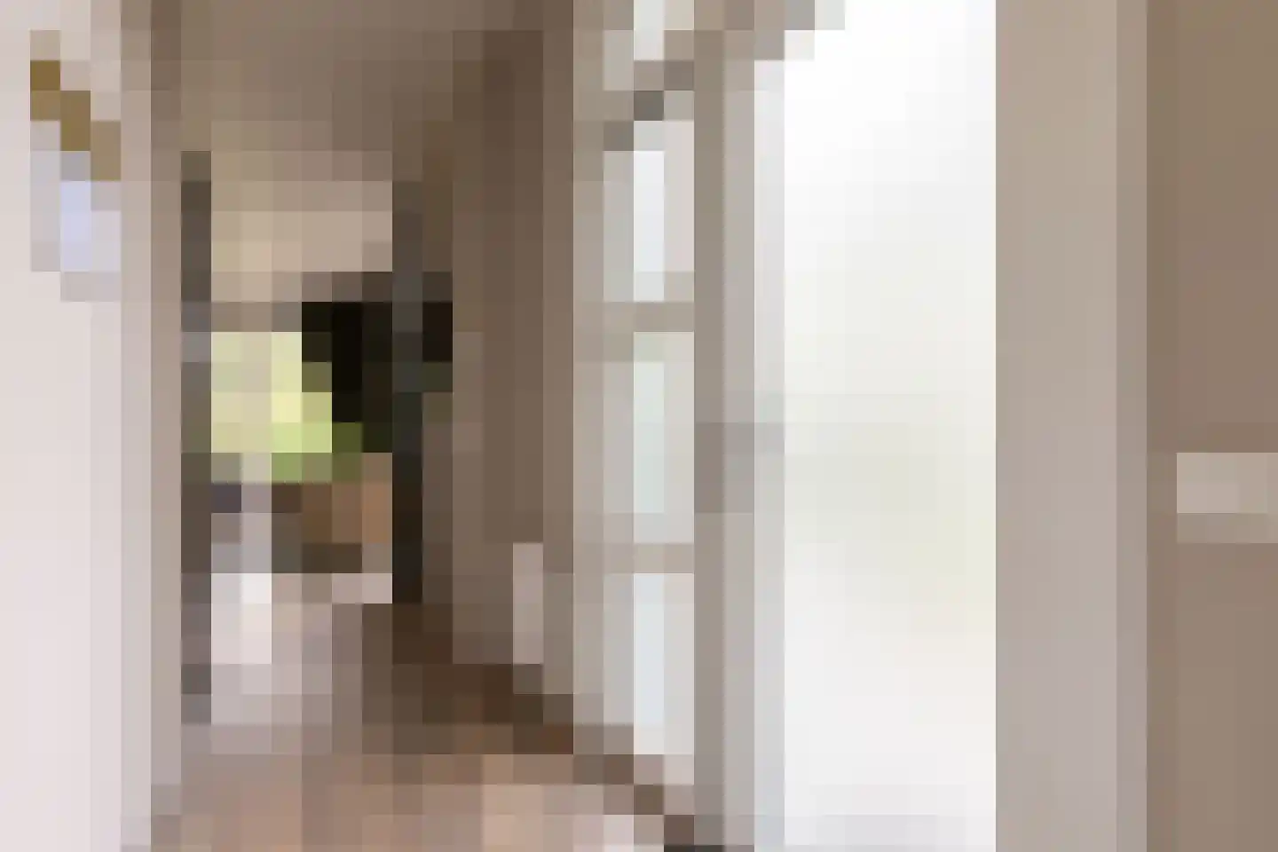 Zonneoordlaan 47 R 98 Ede thumbnail 11