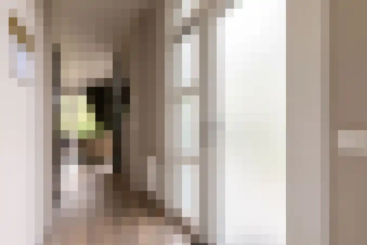 Zonneoordlaan 47 R 98 Ede thumbnail 11
