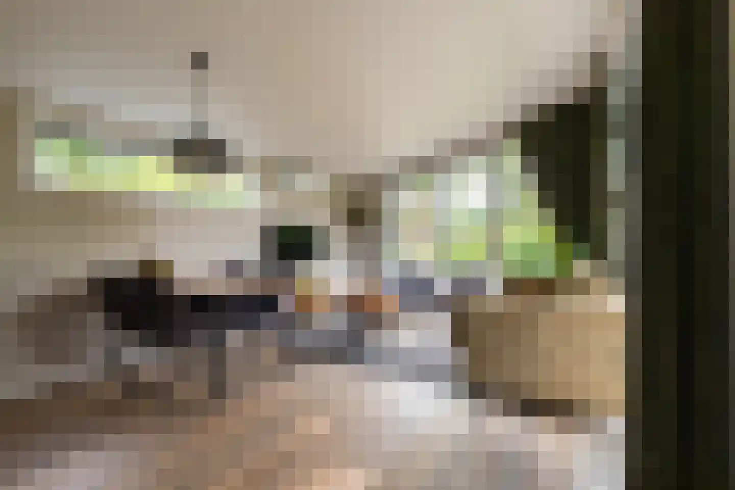 Zonneoordlaan 47 R 98 Ede thumbnail 12