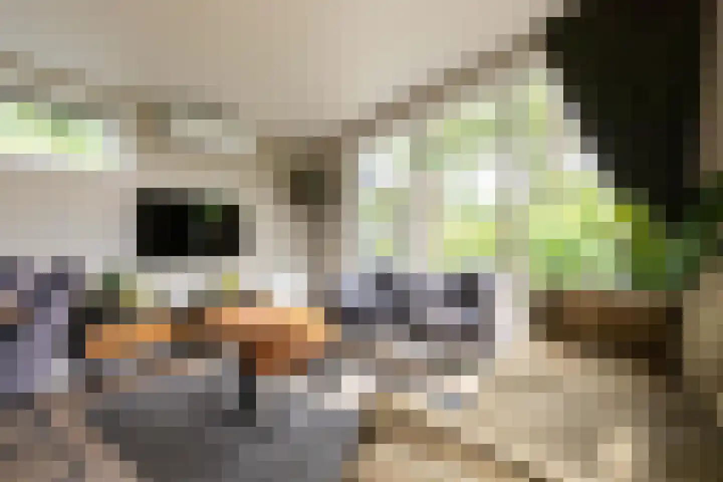 Zonneoordlaan 47 R 98 Ede thumbnail 13