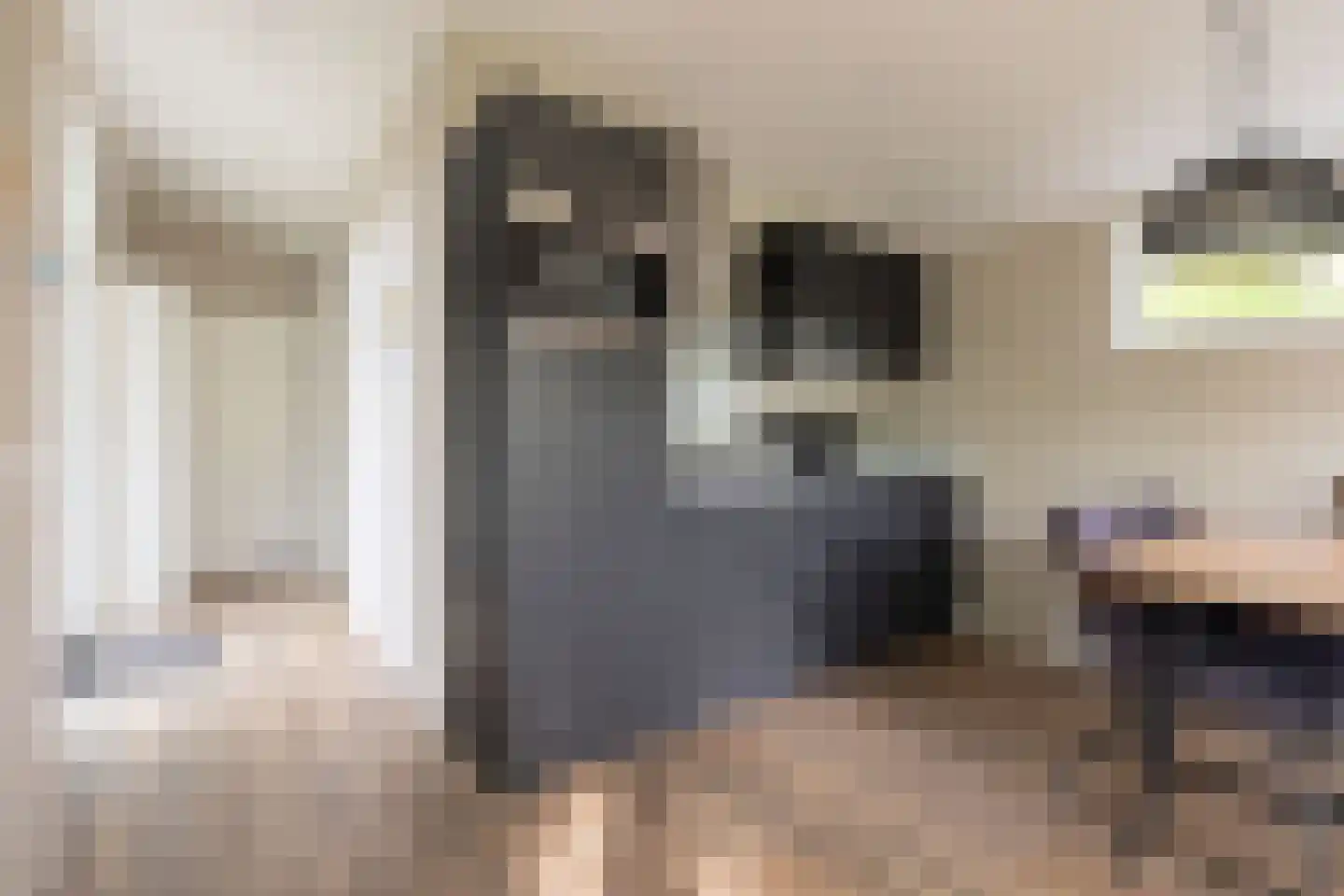 Zonneoordlaan 47 R 98 Ede thumbnail 17