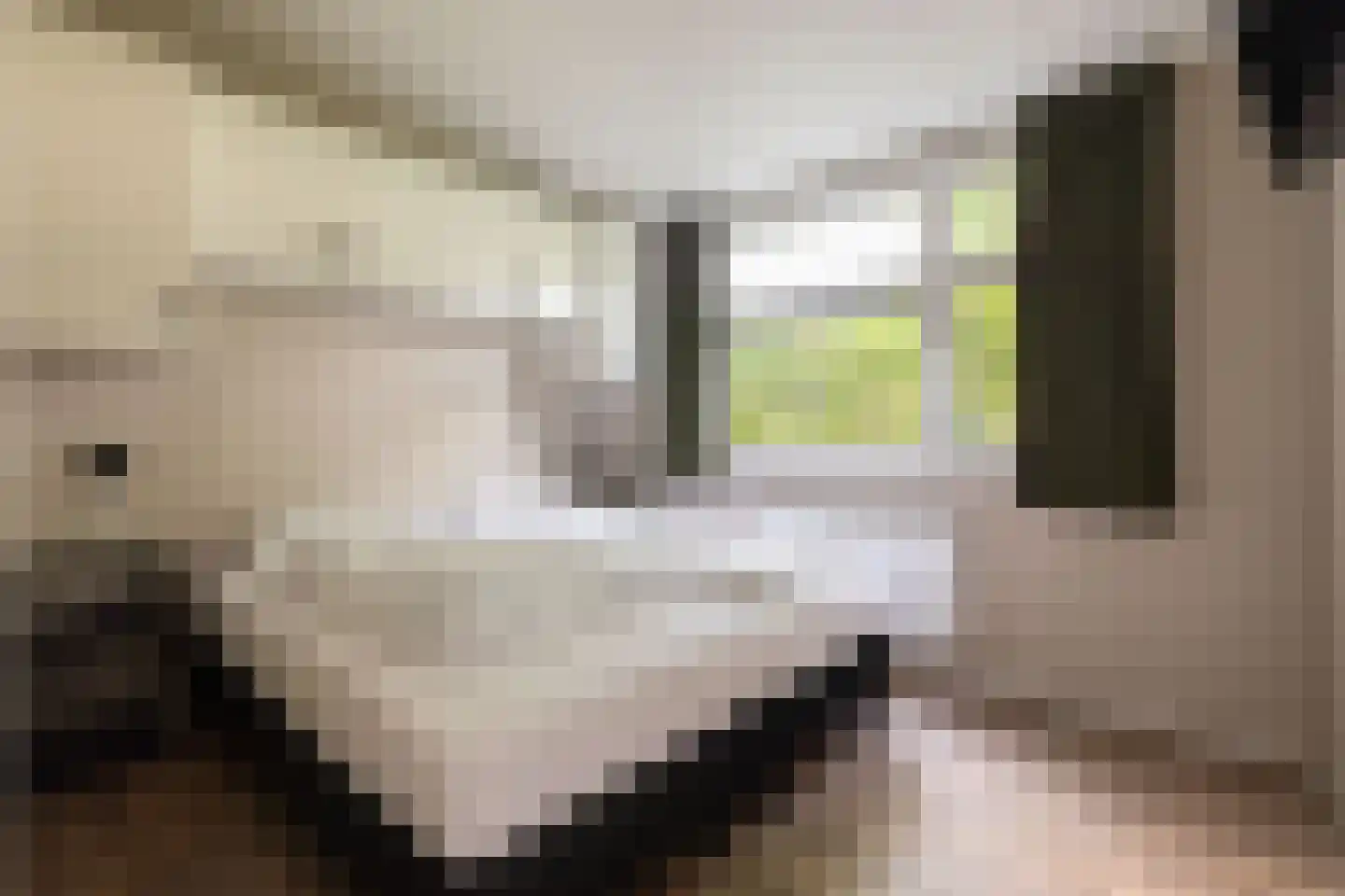 Zonneoordlaan 47 R 98 Ede thumbnail 18
