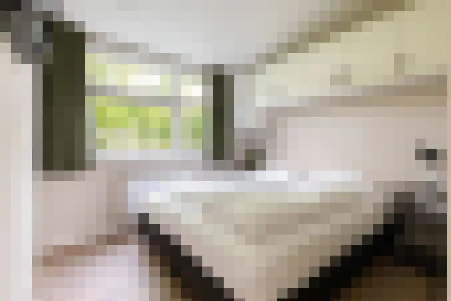 Zonneoordlaan 47 R 98 Ede thumbnail 19