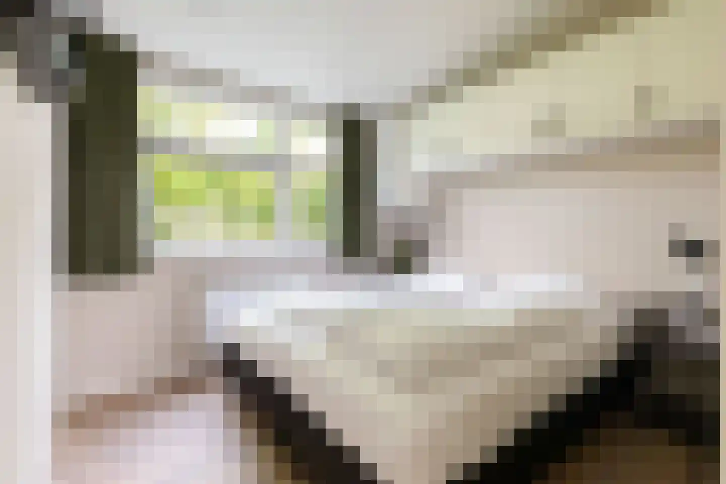 Zonneoordlaan 47 R 98 Ede thumbnail 19