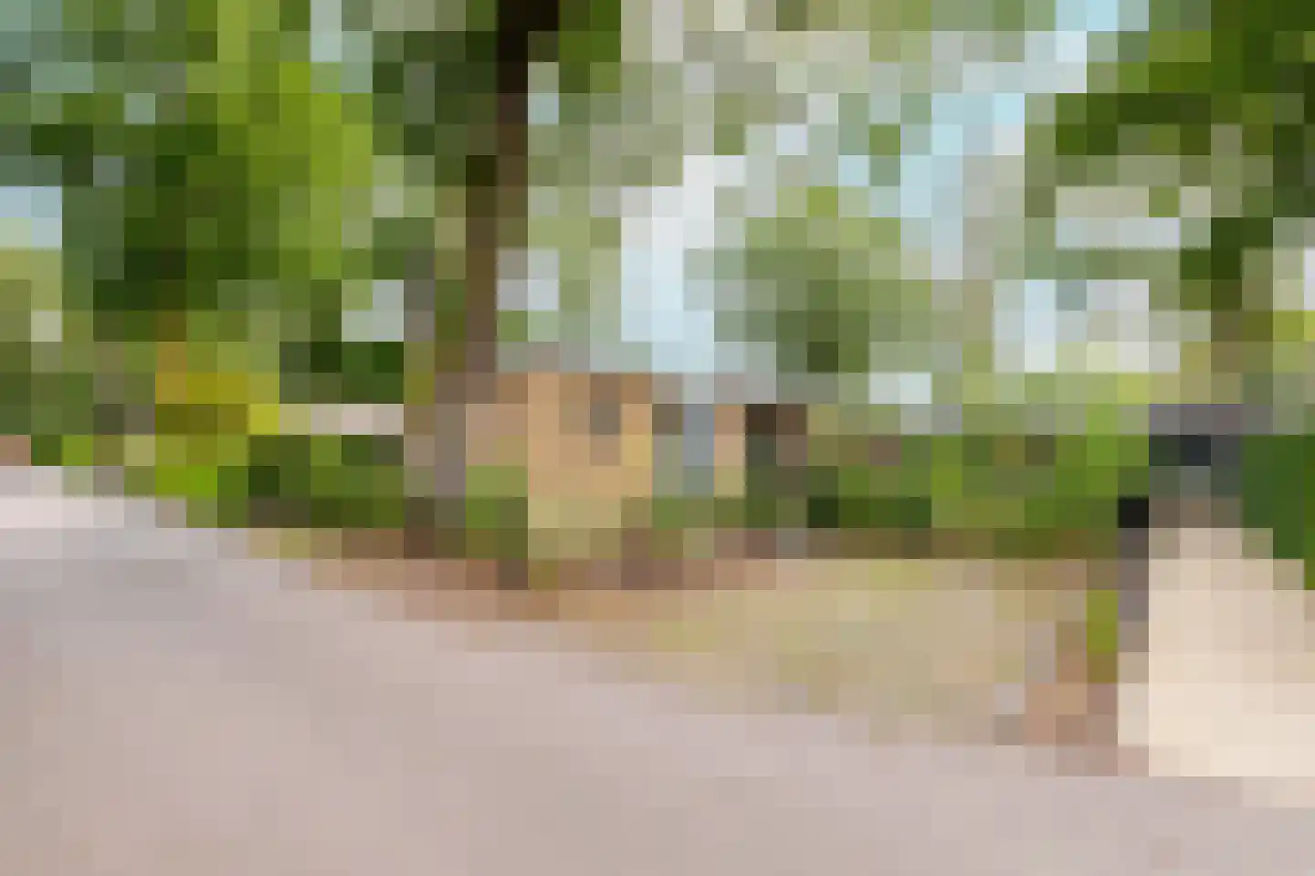 Zonneoordlaan 47 R 98 Ede thumbnail 21