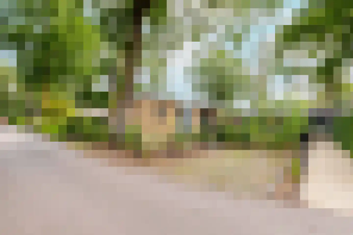 Zonneoordlaan 47 R 98 Ede thumbnail 21