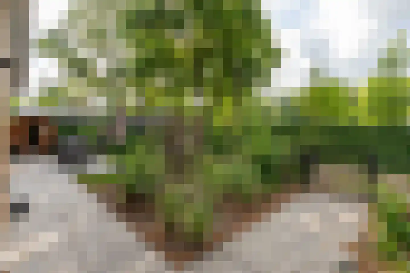 Zonneoordlaan 47 R 98 Ede thumbnail 4